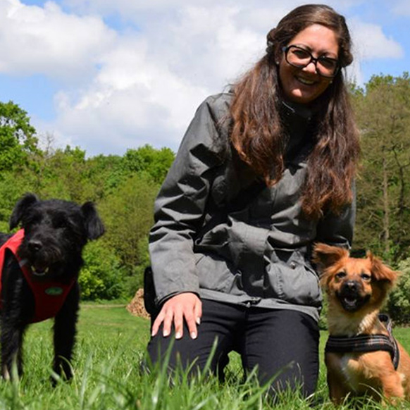 DogsFun. Silke, Zorro und Bella im Wald auf der Wiese